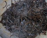 自製日式魔法調味品-鹽昆布的食譜步驟9照片