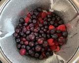 Frozen berry sorbet