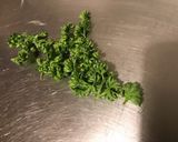 Une image de l'étape 5 de Herbes fraîches au naturel (menthe, coriandre, persil frisé).