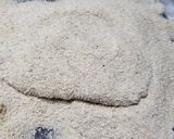 Foto del paso 1 de la receta: Milanesas de Pescado frito sin gluten