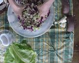 Foto del paso 3 de la receta: Como hacer chucrut?