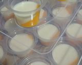 Foto langkah ke 2 dari resep Pudding Mangga Susu.