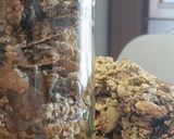 A picture of step 6 of 🫘 Granola with Unsweetened Applesauce.