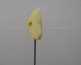 Foto del paso 2 de la receta Manzana con miel y sésamo de naranja