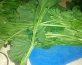 صورة لخطوة 1 من وصفة الخبيز أو الخبيزة أكلة تطبخ منذ القديم إلى يومنا هذا 👍💖💖