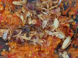Sambal Goreng Bawang