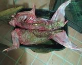 Foto del paso 1 de la receta: Liebre a las brasas