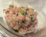 A picture of step 4 of Rice Paper Dumplings – Chewy and Crispy Gyoza.