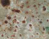 மசாலா ரொட்டி(masala roti recipe in tamil) ரெசிபி ஸ்டேப் 4 புகைப்படம்