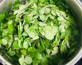 Hình bước làm 3 của món Canh Rau Chùm Ngây Nấu Tôm