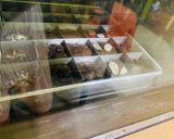 Foto langkah ke 5 dari resep 451. Brownies Panggang Sederhana.