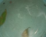 Foto del paso 5 de la receta: Col agridulce