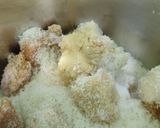A picture of step 1 of #RSC#gulabhi syrup coconut Koya balls#.