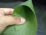 Kuih Lopes