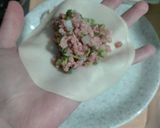 Foto del paso 3 de la receta: Gyozas de carne