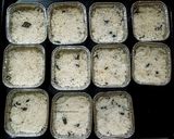 Foto langkah ke 3 dari resep Chicken Rice Mentai.