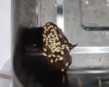 Foto langkah ke 5 dari resep Kurma Coklat.
