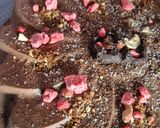 Une image de l'étape 8 de Douceur de Marguerite entremets chocolat intense et coeur de poire 🍐.