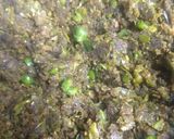 A picture of step 7 of Peas kachori.