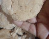 राजकोट की फेमस चापडी (rajkot ki famous chapdi recipe in Hindi) रेसिपी चरण 2 फोटो