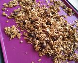 Une image de l'étape 3 de Granola flocon d'épeautre raison sec, figue et cranberries séch.