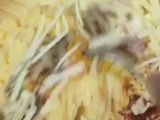 Rulo Patates