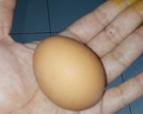Foto langkah ke 27 dari resep Nasi goreng kunyit dan telur dadar.