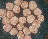 Foto del paso 4 de la receta: Trufas deliciosas Patymo