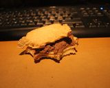 Foto del paso 9 de la receta: Milanesas & compañía y co y co