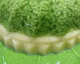 Foto langkah ke 5 dari resep Pudding lumut butter.