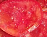 Foto del paso 1 de la receta: Tomates Rellenos
