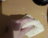 Foto del paso 9 de la receta: Levadura casera con paciencia (masa madre natural)