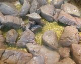 Foto del paso 5 de la receta Solomillo de cerdo al brandy