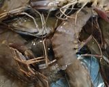 Foto langkah ke 1 dari resep Udang Saos Padang.