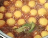 Foto langkah ke 2 dari resep 122. Bubur Candil.