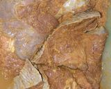 Foto langkah ke 2 dari resep Paru crispy ala RM padang.