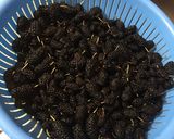 Foto del paso 1 de la receta: Mermelada de mora silvestre