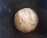 Foto del paso 2 de la receta: Pan casero en sartén y receta extra 😊