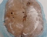 Foto langkah ke 17 dari resep Orange Peel Double Chocolate Sourdough Bread (Oven Tangkring).