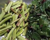 A picture of step 1 of Malabar Spinach Ghanto.