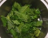 Foto del passaggio 1 della ricetta Pesto alle cime di rapa