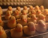 Foto langkah ke 5 dari resep Nastar Bebek.