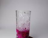 Cara Membuat Dragon fruit Mojito 2