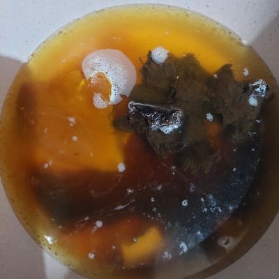 Langkah 6