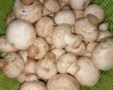 Foto langkah ke 2 dari resep Sup Jamur Lada Hitam.