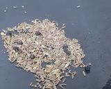 A picture of step 1 of Kashmiri Rotis.
