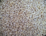 Foto del paso 1 de la receta: Galletas de cebada cocida en cerveza