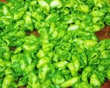 A picture of step 5 of Spinach Pesto Pasta.
