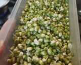 A picture of step 1 of Sprouts moong chila.