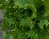 Foto del paso 3 de la receta: 2 ensaladas fáciles 🫠